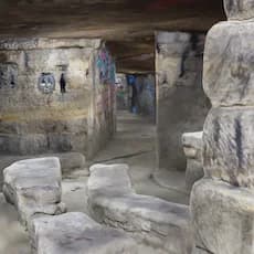 Cochon - Salle des Fetes